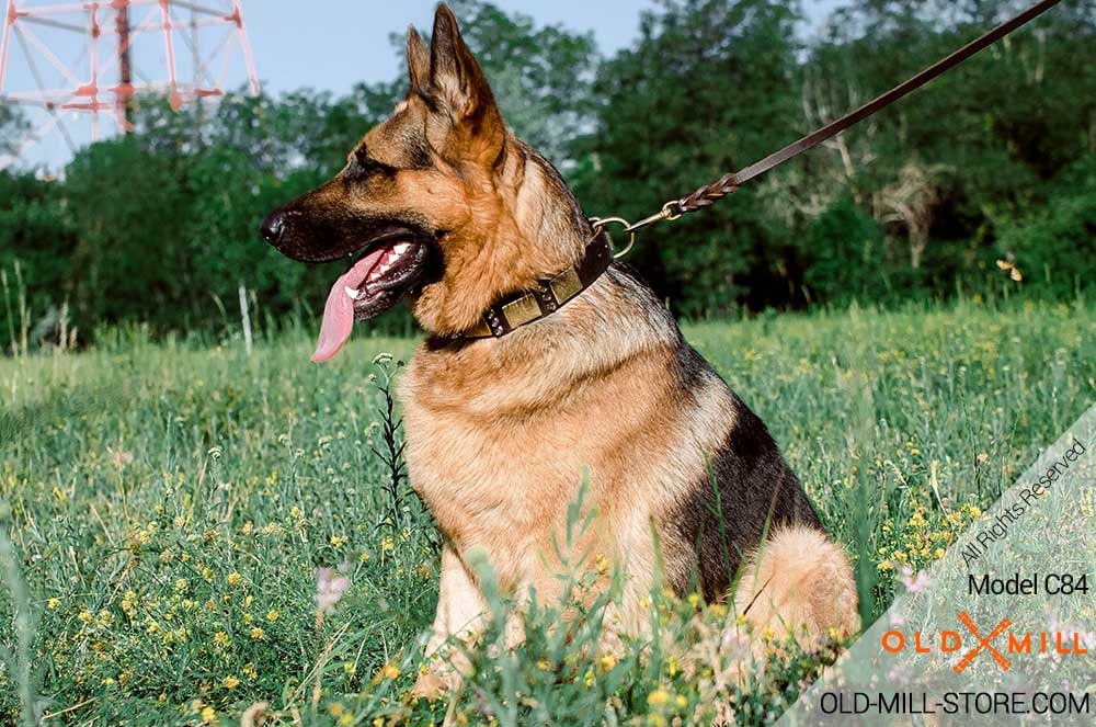 badass german shepherd collars