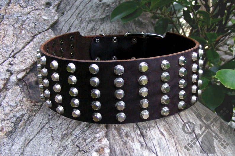 Extra Wide 3 Inch Studded Leather Dog Collar for Powerful Dogs Etsy