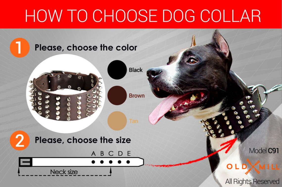 Extra Wide 3 Inch Spiked and Studded Leather Dog Collar for Etsy