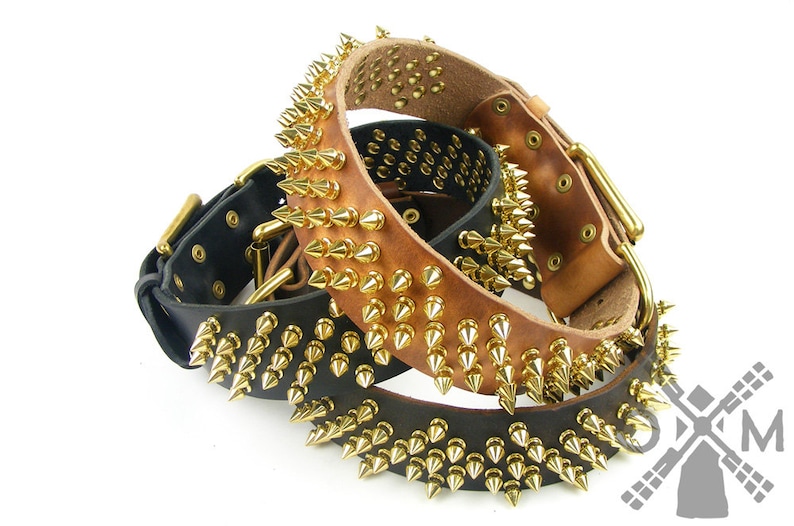 Elite Fully Spiked Leather Collar with Brass Spikes for Large Etsy