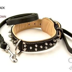 Spiked Leather Dog Collar and Braided Leash Set - Old Mill Store