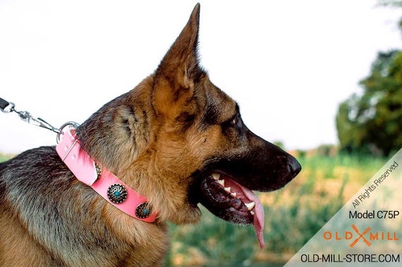 leather leash for german shepherd