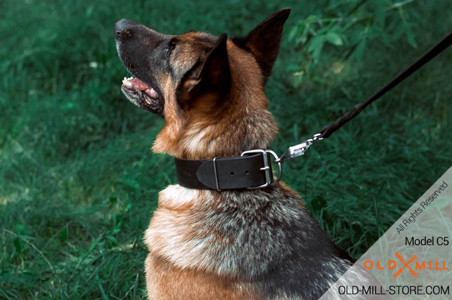 2 Inches Wide Leather Dog Collar for German Shepherd. Classic Etsy