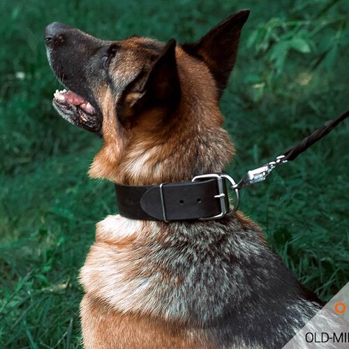 Are Wide Collars Better For Dogs