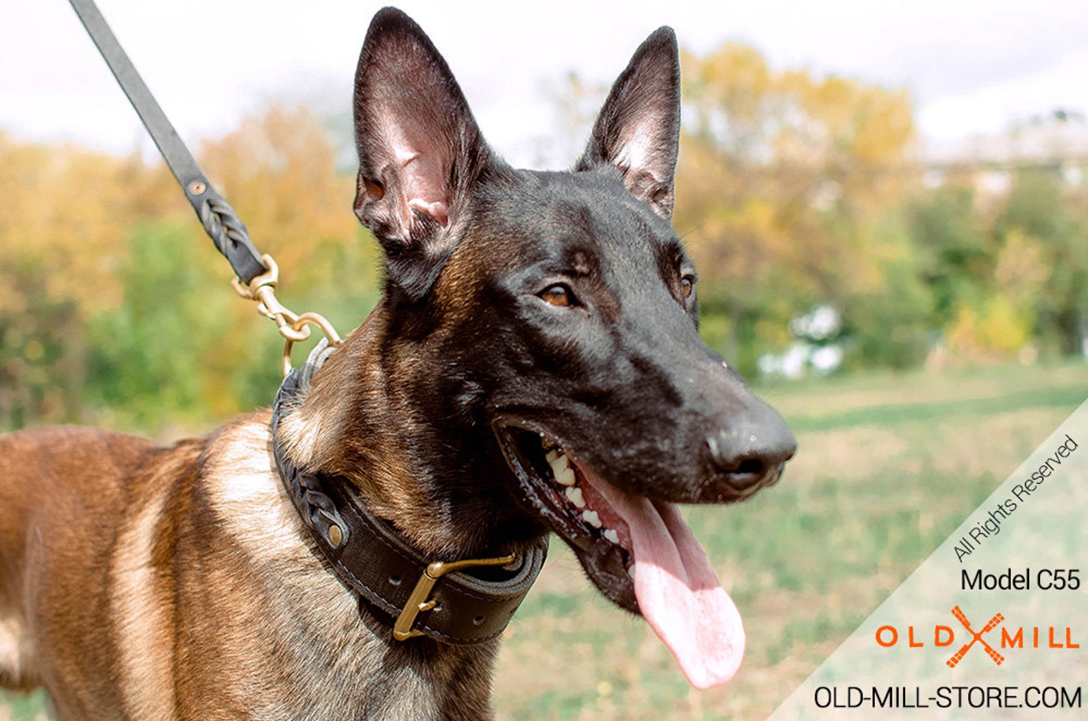 Belgian Malinois Collar Leather With Braids and Fur Protection Etsy