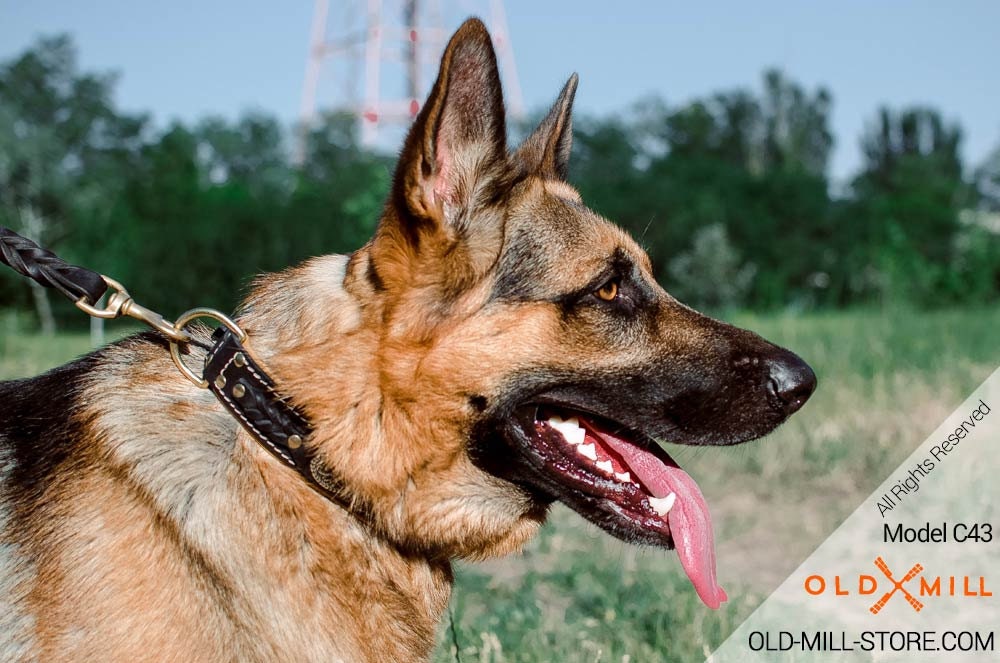 Duty Real Cowhide Leather Dog Collars Medium Large Dogs German Shepherd  Collar