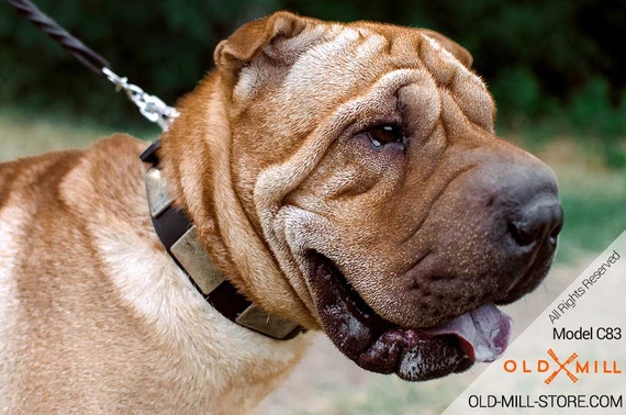 Collari per cani con borchie arrotondati in pelle PU per Pitbull Boxer Mastiff Pastore tedesco
