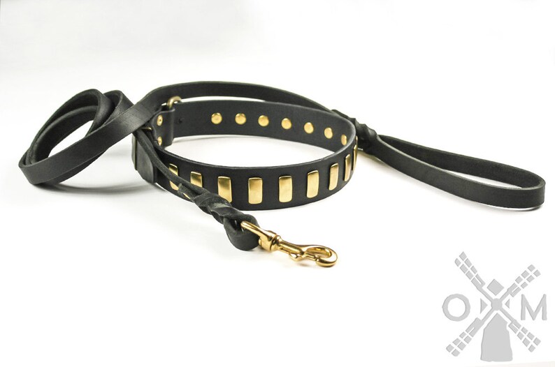 Black Leather Dog Collar With Brass Plates and Strong Braided Etsy