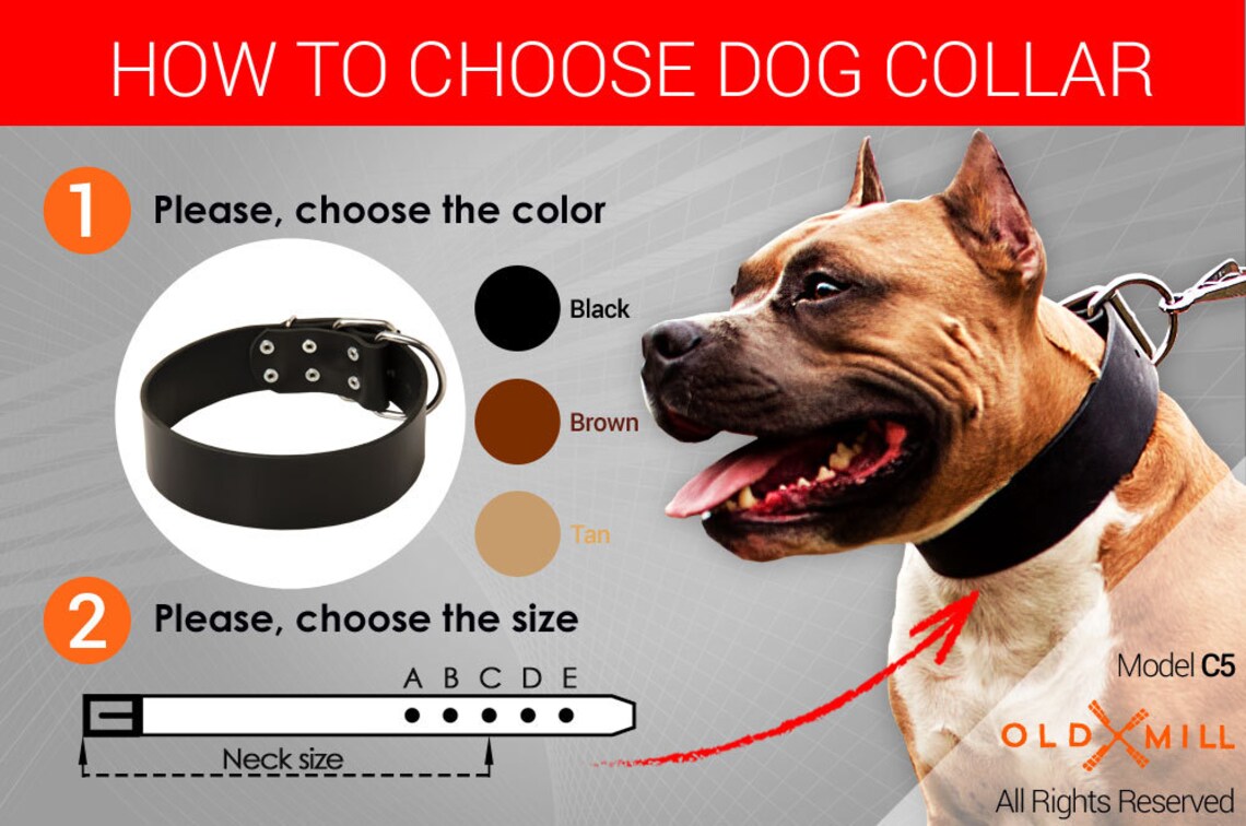 Classy Extra Wide Leather Dog Collar for Obedience Training Etsy