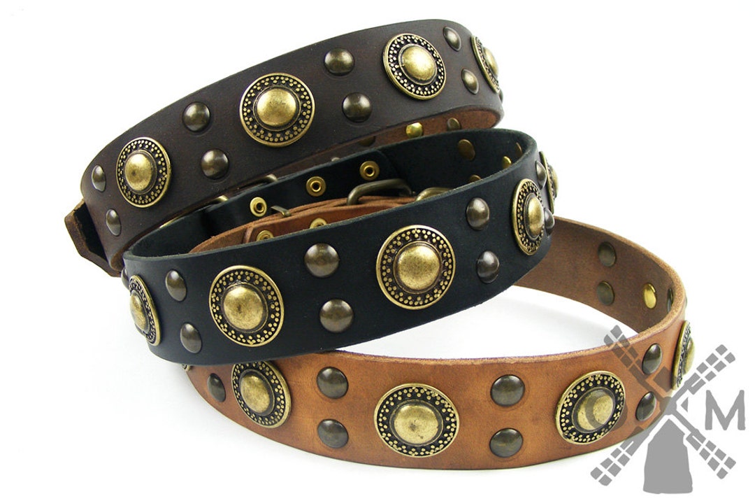 Deluxe Leather Dog Collar With Brass Decoration golden - Etsy