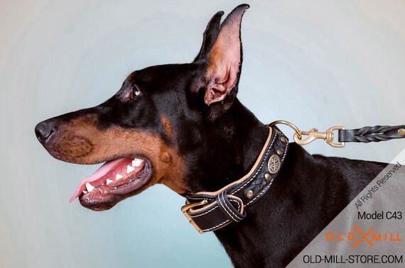 doberman leather collar