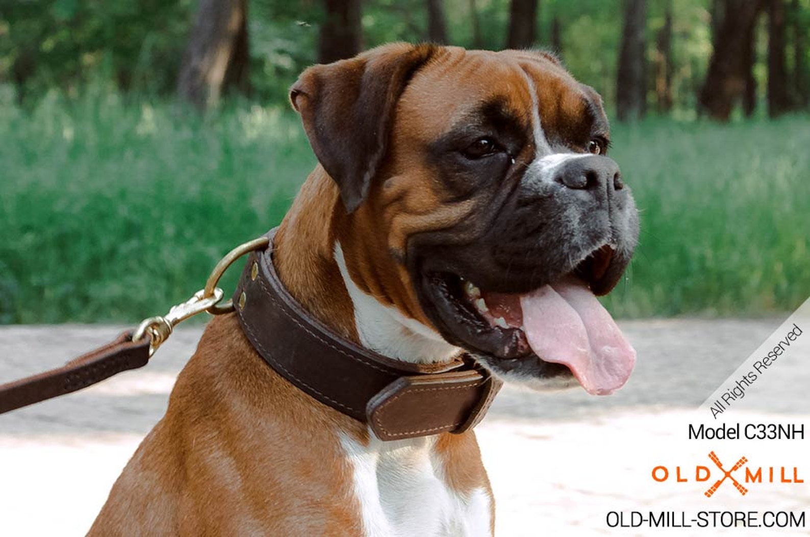 2 Ply Leather Dog Collar for Boxer Training. Wide 1 3/4 Inch Etsy
