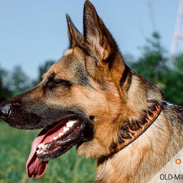 German Shepherd Collars Etsy