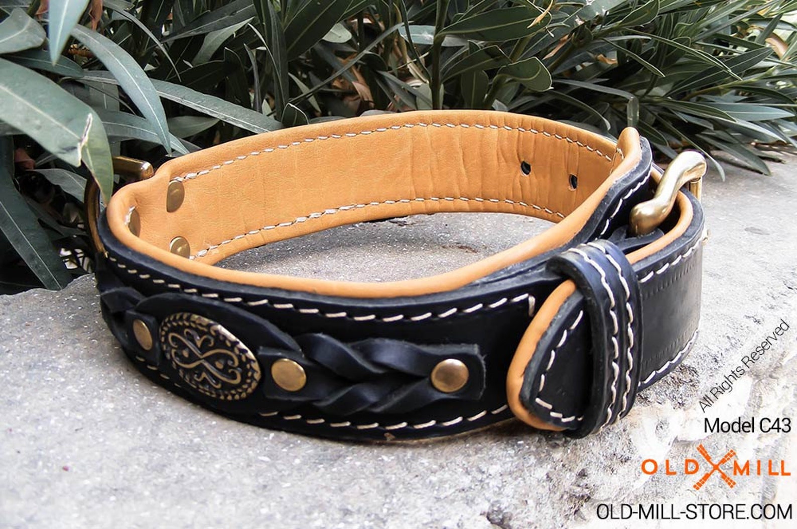 Deluxe Leather Dog Collar for Cane Corso Handcrafted Dog Etsy