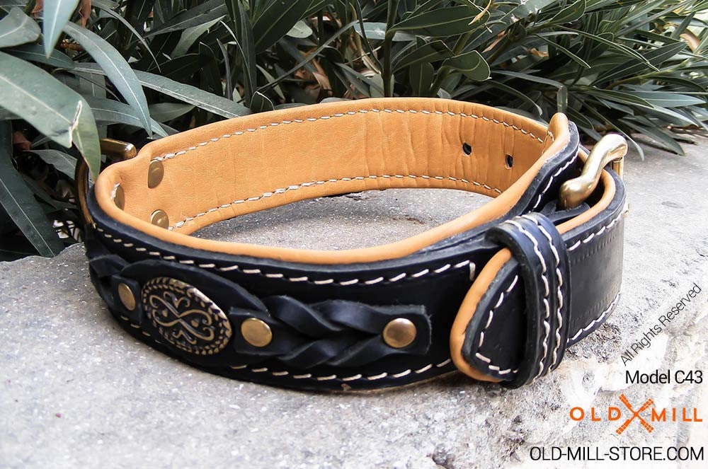 Deluxe Leather Dog Collar for Cane Corso Handcrafted Dog Etsy