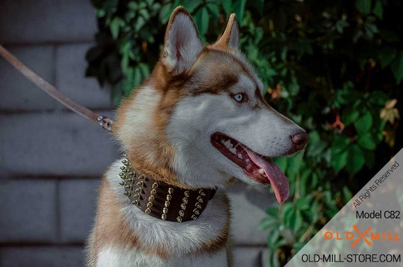 husky dog collars