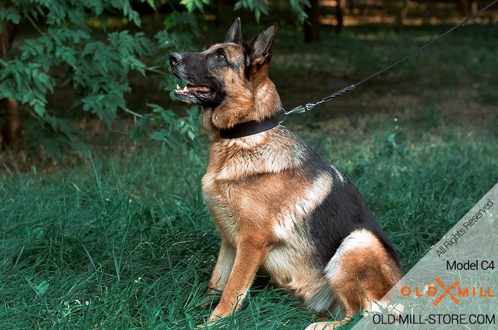 slip collar for german shepherd