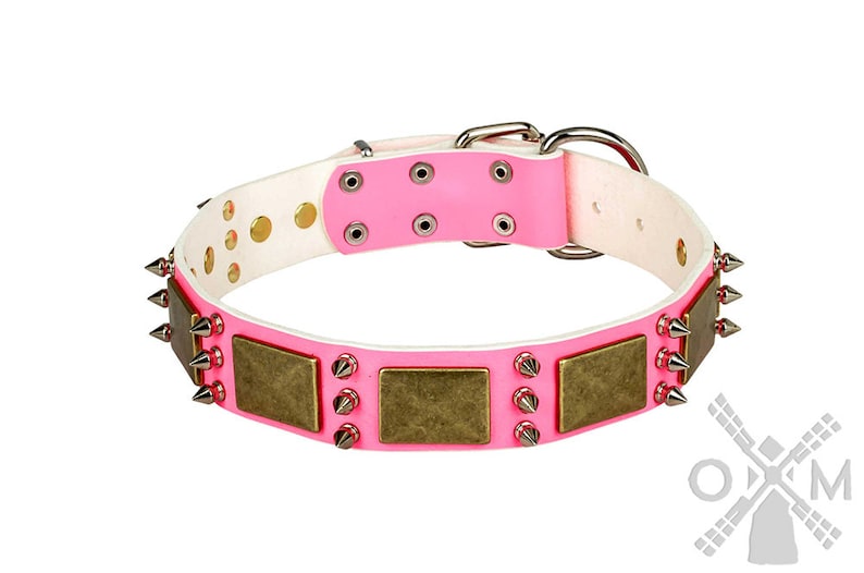 Pink Leather Dogue de Bordeaux Collar with Old Brass Massive Plates and Spikes Mastiff Collars model OldMill-C84P