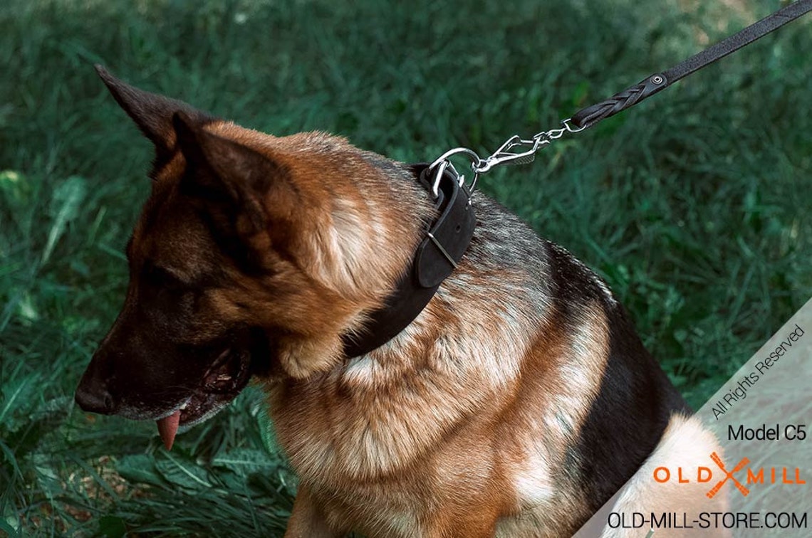 2 Inches Wide Leather Dog Collar for German Shepherd. Classic Etsy