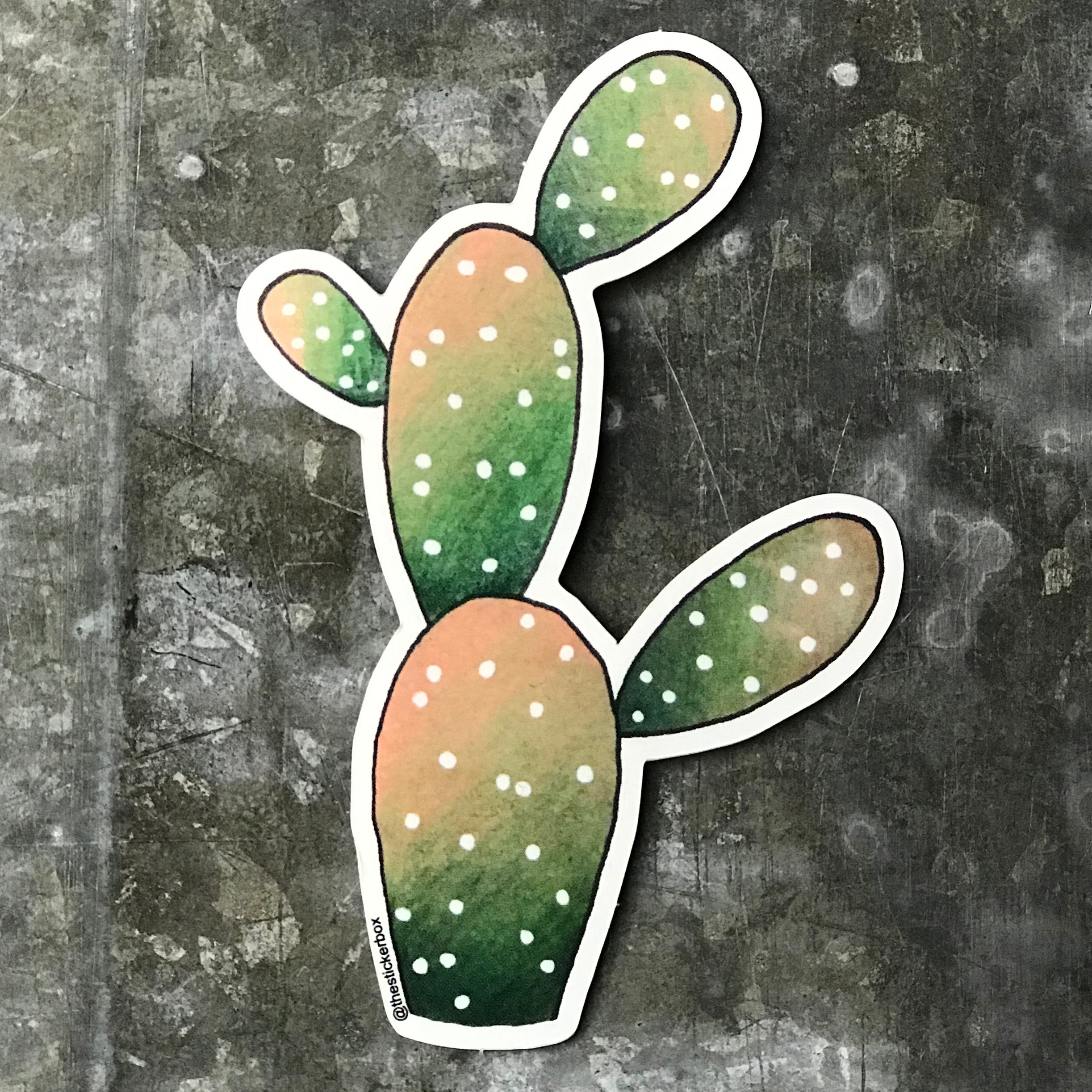 Cactus Cactus Stickers Texas Sticker Succulent Sticker Etsy