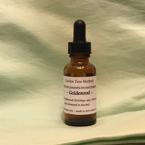 Goldenrod Herbal Tincture Solidago spp. // Wildcrafted, Sustainably Gathered Botanical Extract image 1