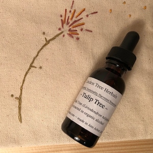 Tulip Tree Herbal Tincture (Liriodendron tulipifera) // Wildcrafted, Sustainably Gathered Botanical Extract in Organic Corn Alcohol