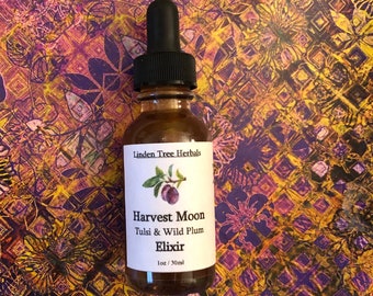 Harvest Moon Elixir ~ Tulsi + Wild Plum // Wildcrafted Herbal Elixir