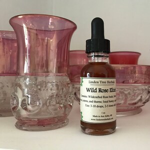 Wild Rose Elixir // Herbal Extract Made with Wild Roses and Michigan Honey