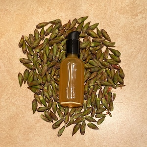 Cottonwood Bud Infused Oil // Wildcrafted Cottonwood Buds Infused in Organic Sunflower Oil