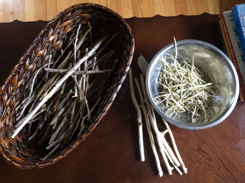 Eastern Cottonwood Tree Bark // Populus deltoides / Wildcrafted, Sustainably Harvested Dried Herbs in Compostable bags image 5