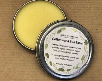 Cottonwood Bud Balm // Wildcrafted Herbal Salve