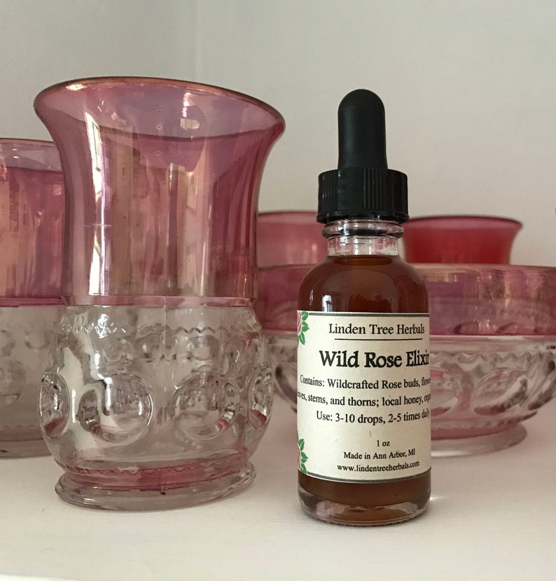 Wild Rose Elixir // Herbal Extract Made with Wild Roses and image 1