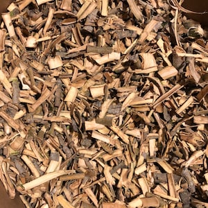 Eastern Cottonwood Tree Bark // Populus deltoides / Wildcrafted, Sustainably Harvested Dried Herbs in Compostable bags image 1