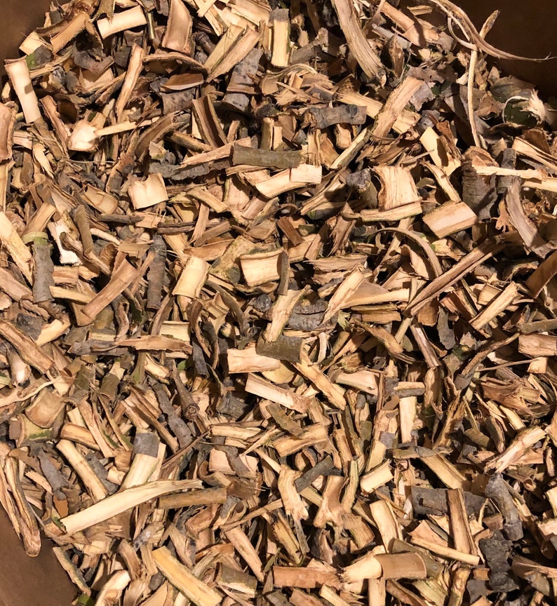 Eastern Cottonwood Tree Bark // Populus deltoides / Wildcrafted, Sustainably Harvested Dried Herbs in Compostable bags image 1