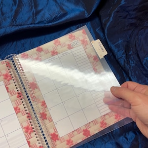 Puede incluir: Un protector de página de plástico transparente para una agenda o un calendario. El protector de página se coloca sobre una página con un patrón de cuadros rosa y blanco con flores rosas. La página tiene el año 2005 impreso en la parte superior y el mes de febrero impreso en una pestaña separada.