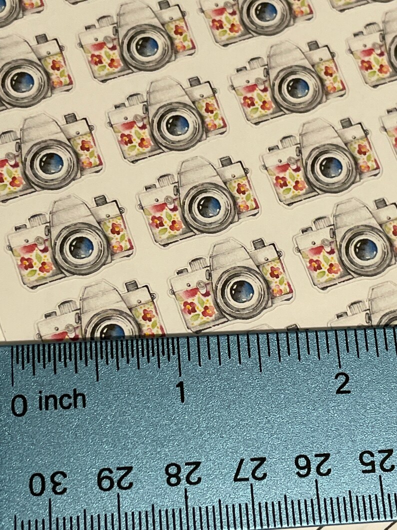 Pu&ograve; includere: Un foglio di adesivi con fotocamere in stile acquerello. Le fotocamere sono principalmente grigie con accenti floreali rossi, gialli e verdi. Le lenti sono blu scuro. Misurano circa 2,5 cm.