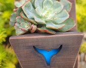 Small succulent planter - Air plant holder - Reclaimed wood wall hanging planter - Whale art Wall decor - Vertical garden - Indoor - Outdoor