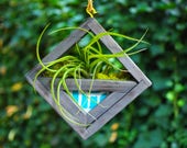 Modern succulent planter - Fabric reclaimed wood frame planter for air plants or succulents - Wall hanging - free hanging from ceiling