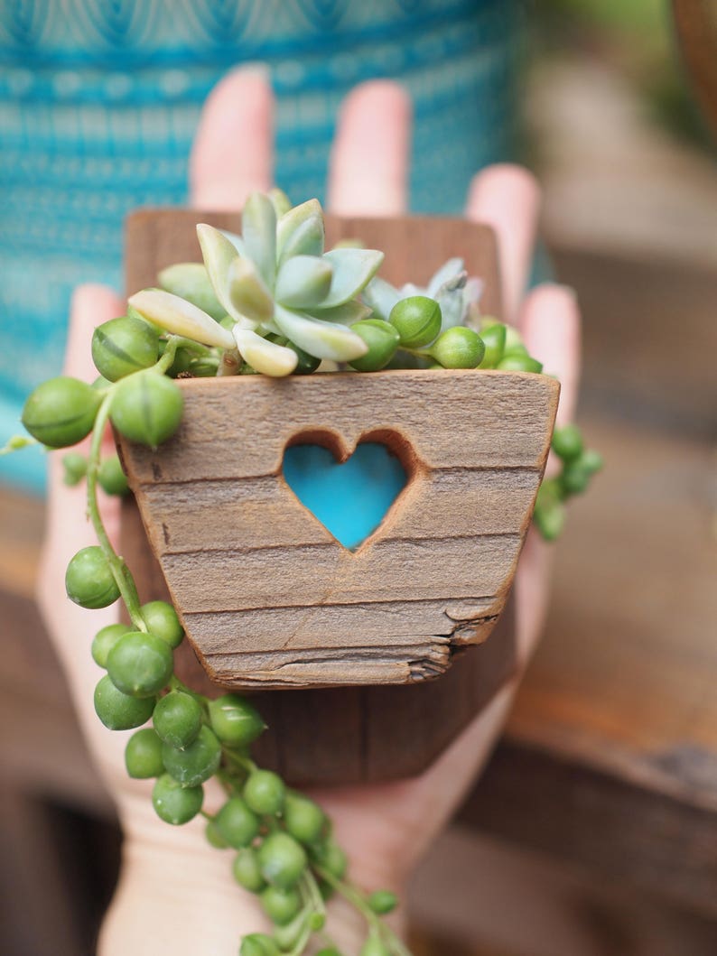 Small succulent planter Air plant holder Reclaimed wood