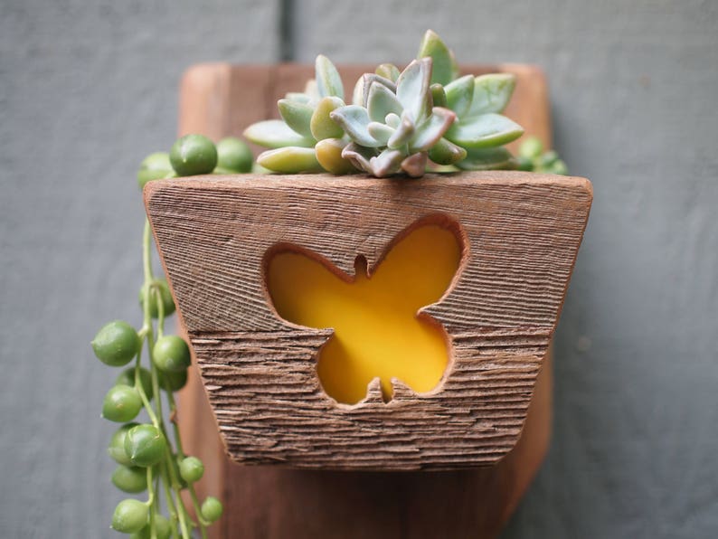 Outdoor Rustic Reclaimed Wood Wall Hanging Planter Small Succulent