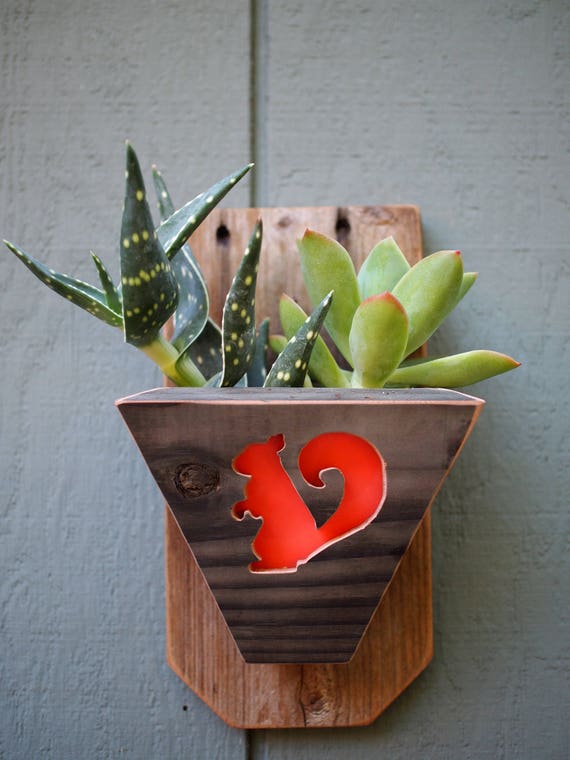 Reclaimed Wood Wall Planter with Heart Cutout Small Succulent Planter for Wall