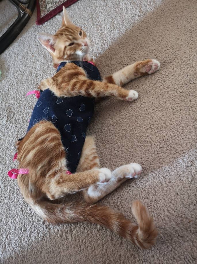 Cat Protective Dress Post Surgery Gown Pet Clothing Stretch Etsy