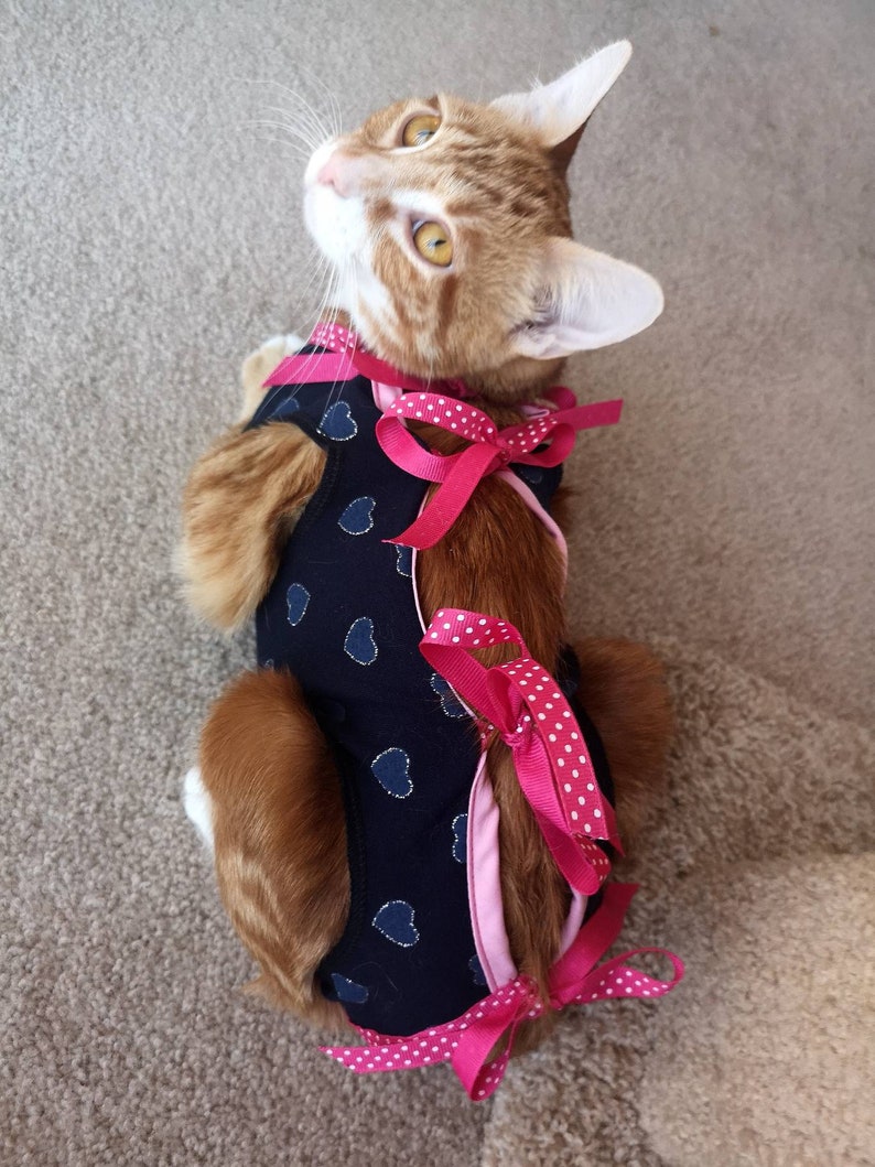 Cat Protective Dress Post Surgery Gown Pet Clothing Stretch Etsy