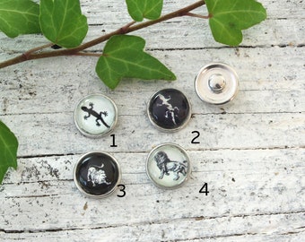 Selection clicks Mini Petite compatible-Cateye bluelight pink turquoiseBlack chunks Snap button 12 mm