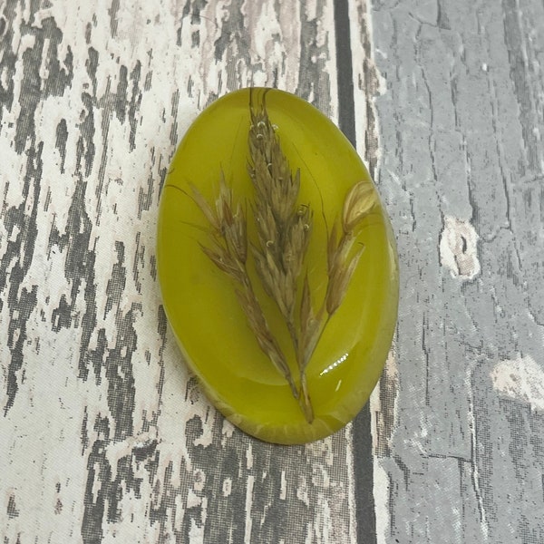 Yellow lucite grass flower brooch - oval brooch  with real dried  flower