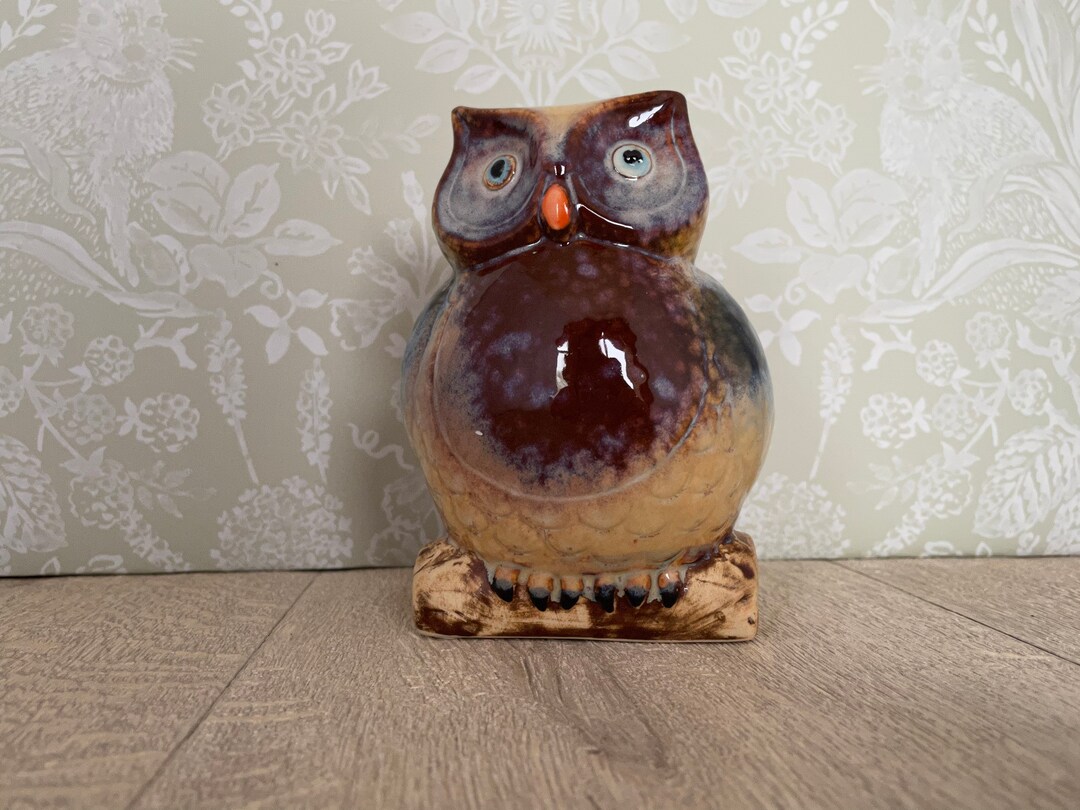 Drip Glazed Owl Money Box Ceramic Owl Coin Box Etsy UK