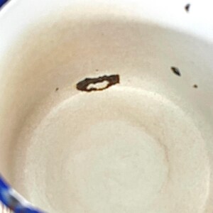 May include: Close-up of the inside of a white enamelware bowl with a blue rim. The bowl has a brown stain in the centre.
