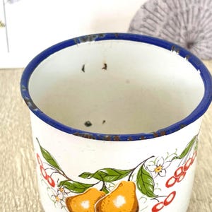 May include: White enamel mug with a blue rim and a floral design featuring pears and red berries.