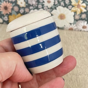 May include: A small, ceramic jar with a lid, featuring alternating horizontal stripes of white and blue. The jar is cylindrical and appears to be handmade. The lid is white and oval-shaped. The jar is held in a hand, with a floral background.