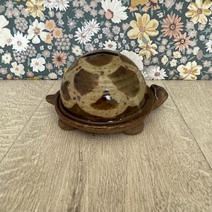 Tortoise Money Box - Vintage Studio Pottery